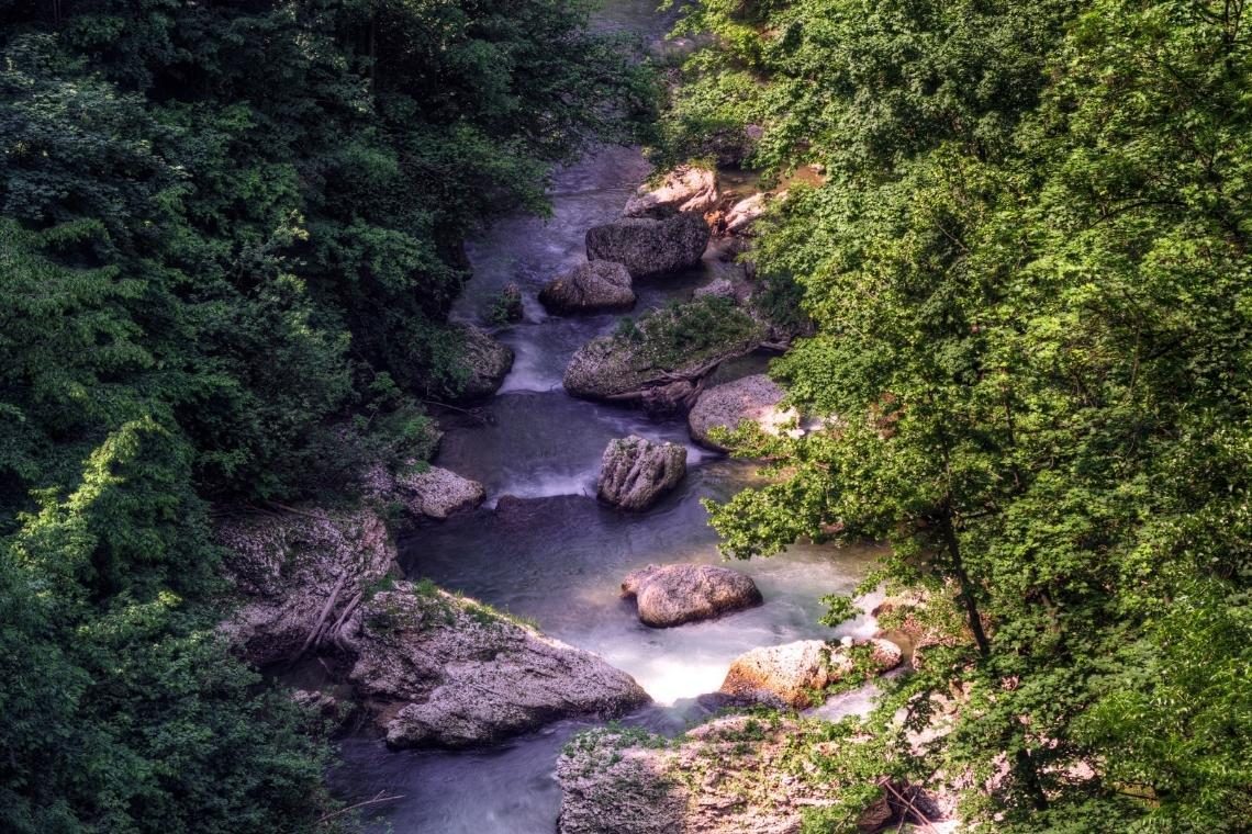 Kranjska občina opozarja na nedovoljene izlive odpadnih voda v reko Kokro