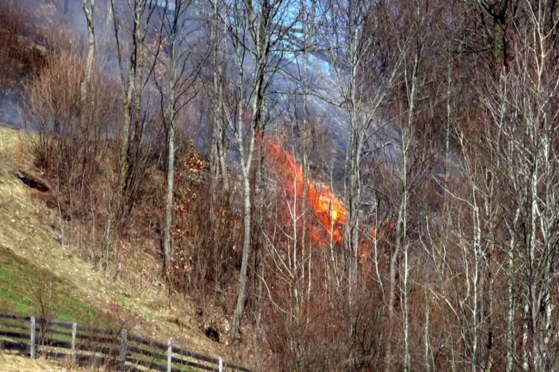 Obsežen požar na goriškem Krasu pod nadzorom