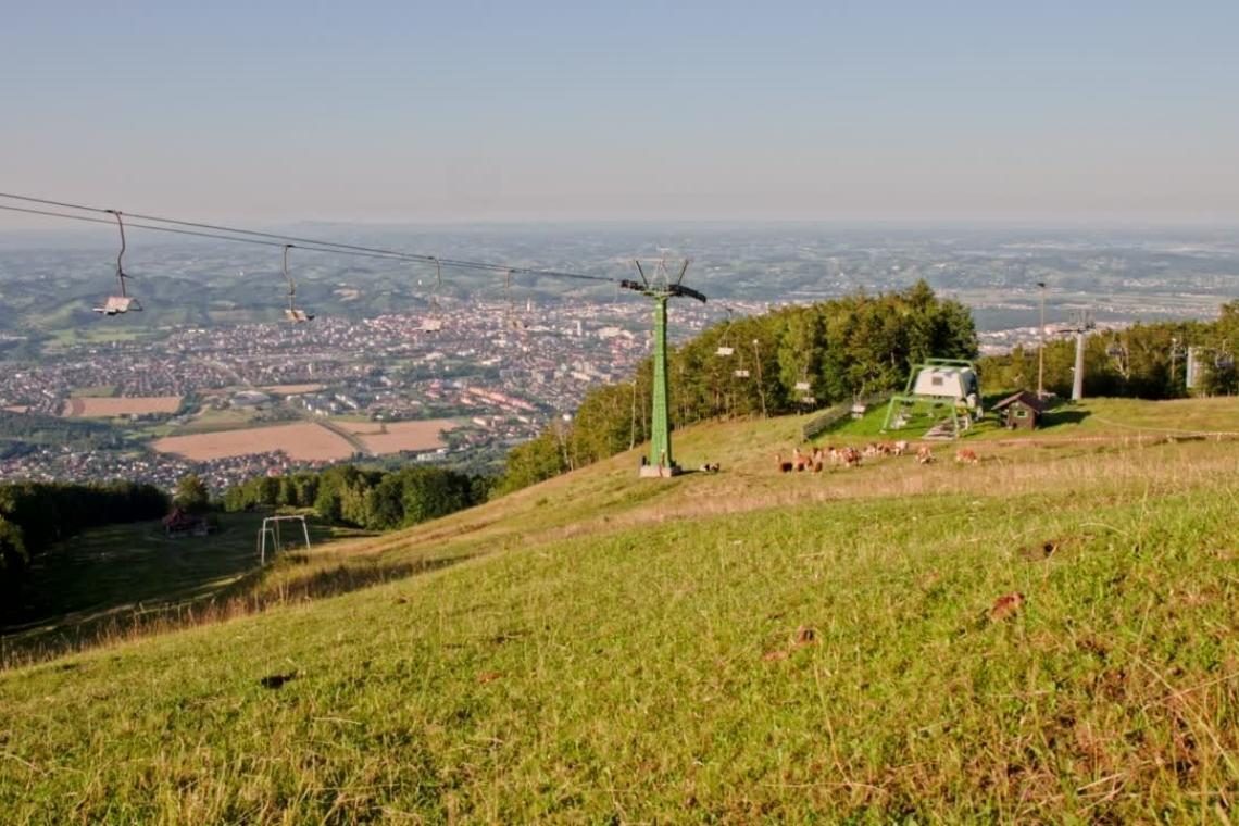 Turistični rezultati se na Štajerskem bližajo predkoronskemu obdobju