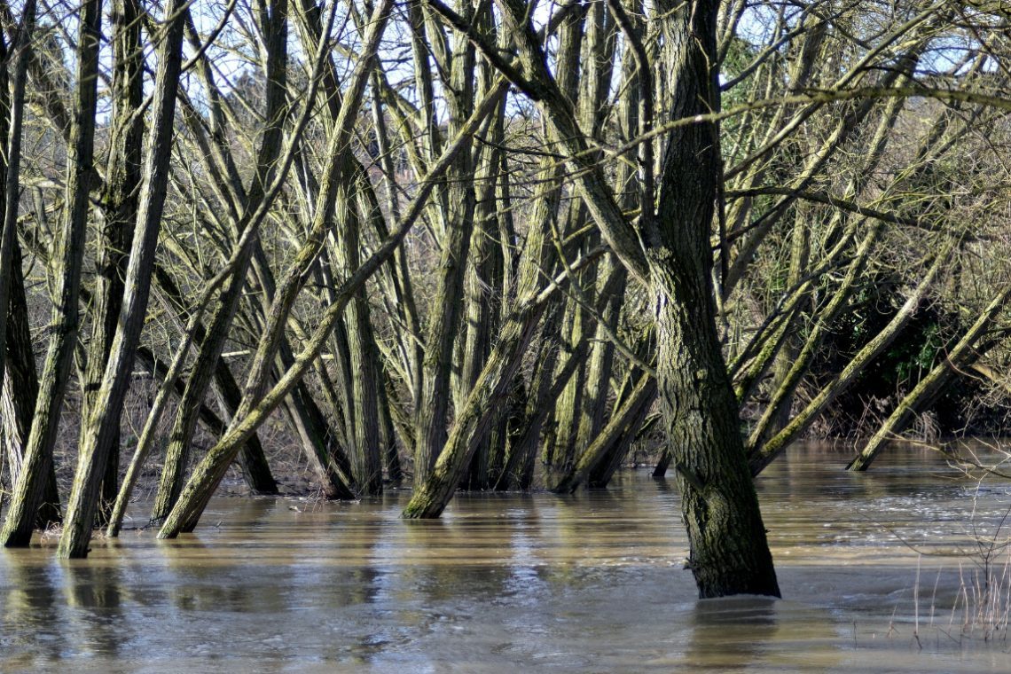 Na Borštu pri Cerkljah ob Krki se po sesutju starega obeta nov most preko Krke
