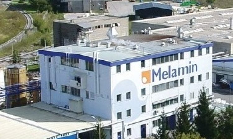 Ob prelomu leta: Kočevje po grozljivi industrijski nesreči išče rešitve