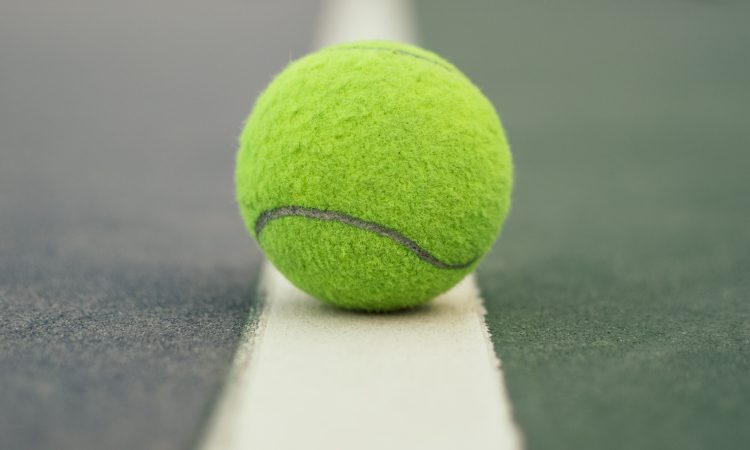 Osrednje igrišče turnirja WTA v Ljubljani bo v Parku zvezda 