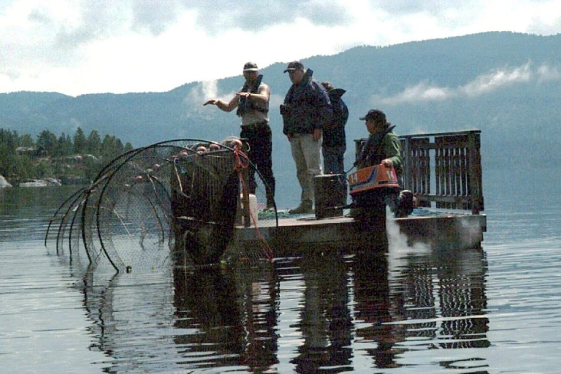 Na Škotskem velika iskalna akcija pošasti iz Loch Nessa