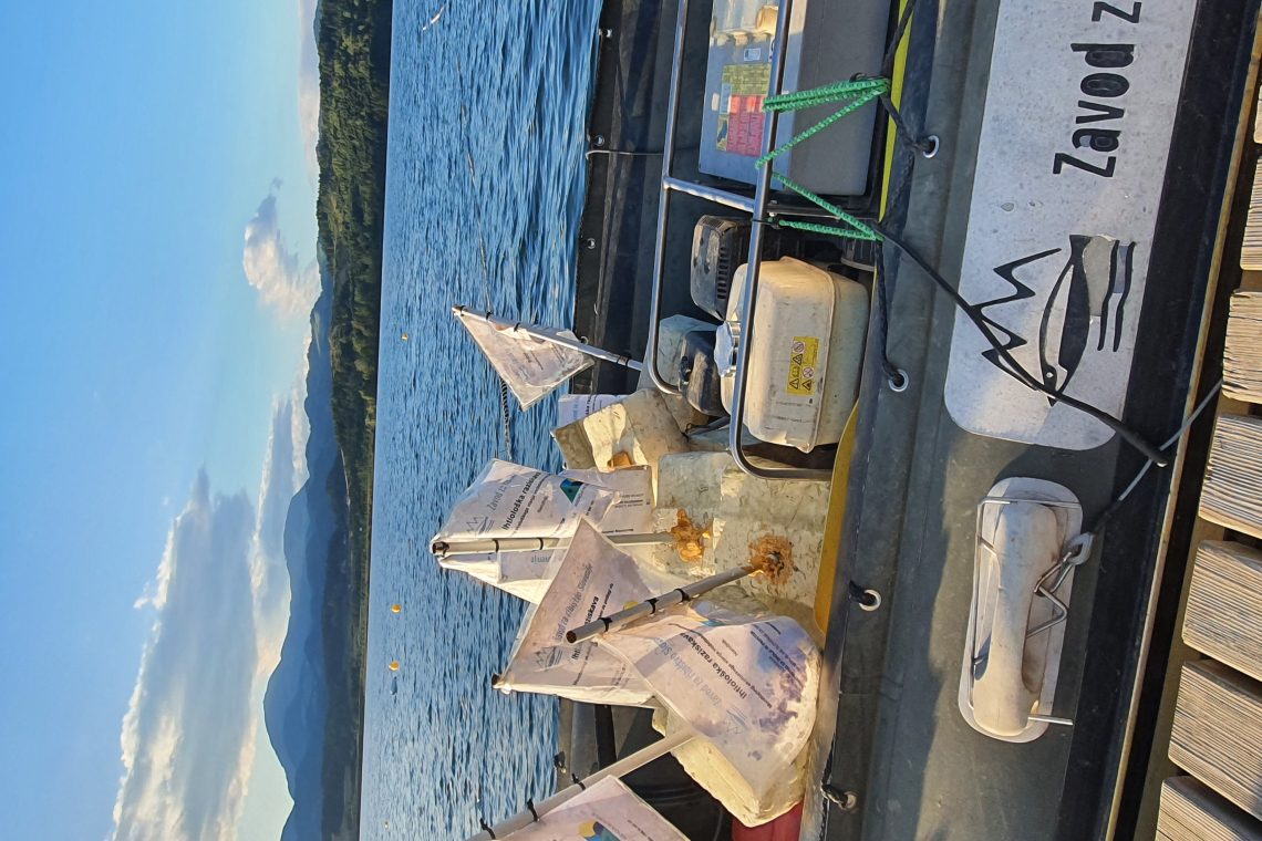 Monitoring rib na območju Velenjskega jezera