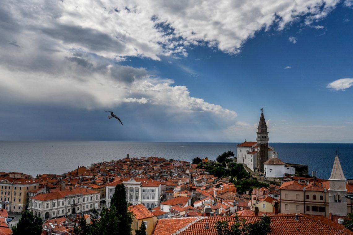 Temperature morja na dnu Tržaškega zaliva rekordno visoke