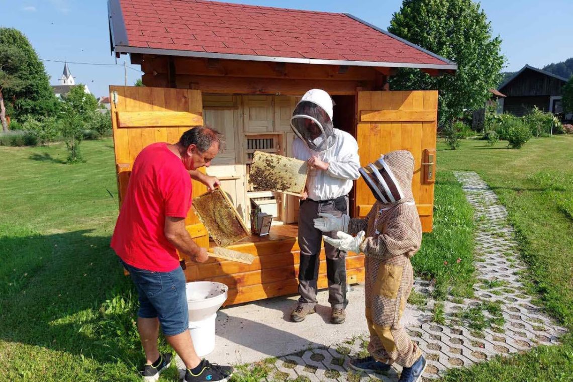 Novi učni čebelnjaki bodo spomladi razveselili nove osnovnošolce