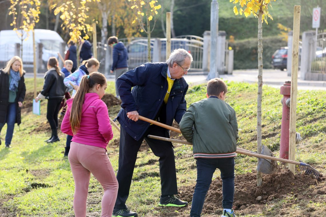 V okviru izziva Trees in Cities do konca leta v Celju še 200 dreves