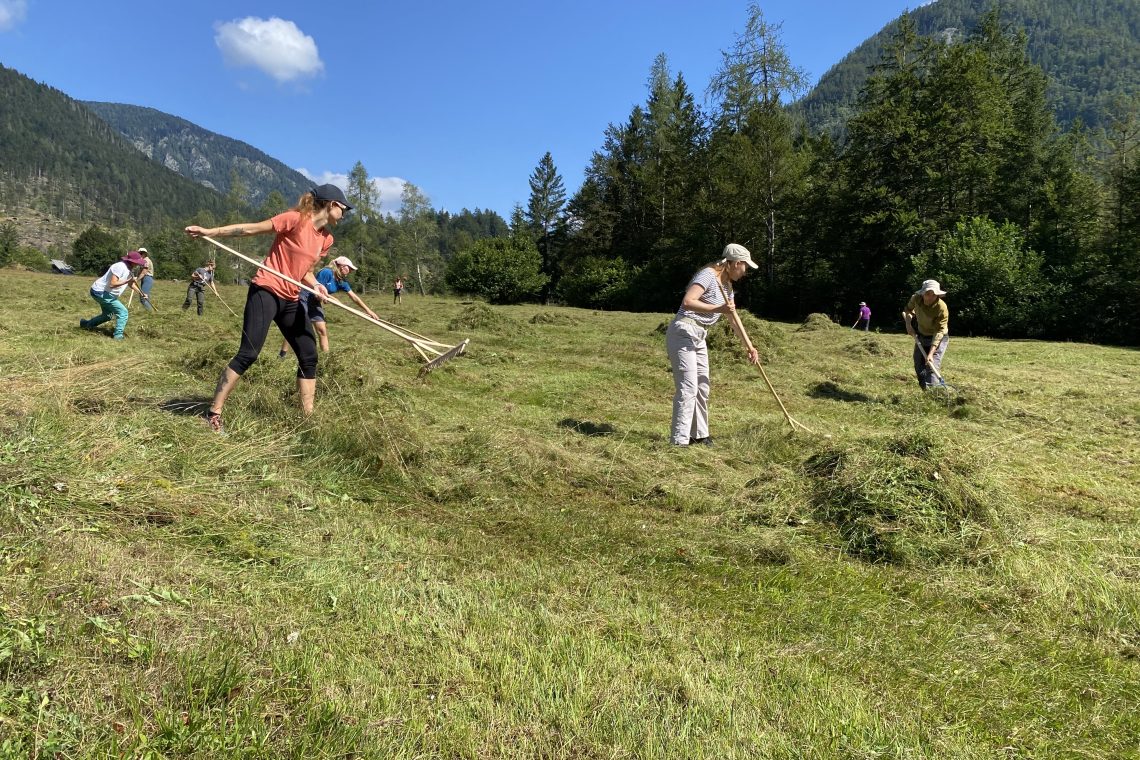 V Zgornji Radovni so se lotili košnje grbinastega travnika