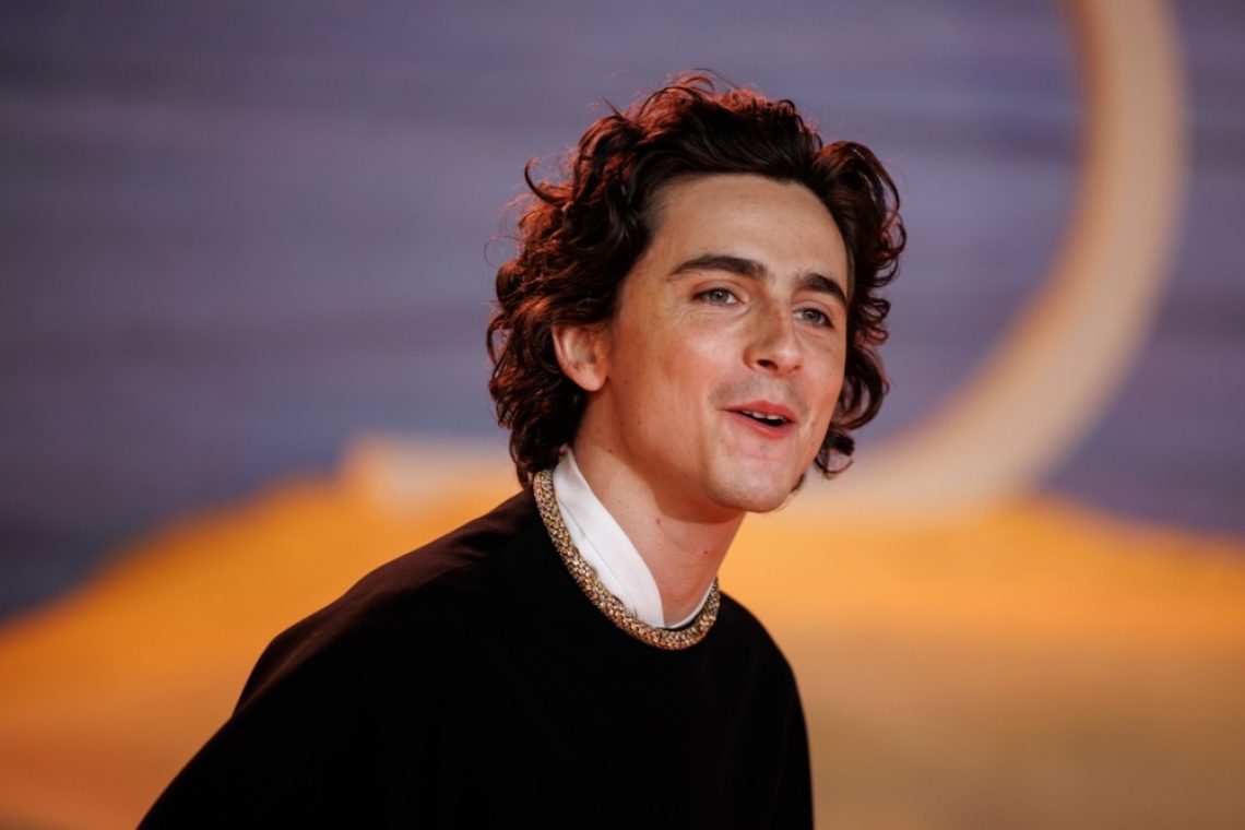 Igralec Timothee Chalamet navdušil oboževalce na zboru svojih dvojnikov