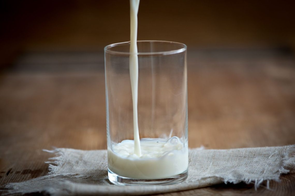 Uživanje mleka lahko poveča tveganje za srčne bolezni, zlasti pri ženskah