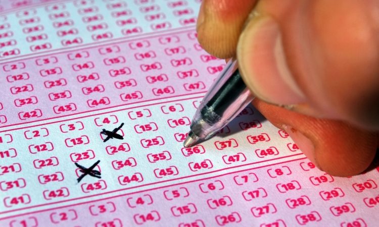 Novoletni loto v prazničnem času prinaša tudi stanovanji v Ljubljani in Kopru