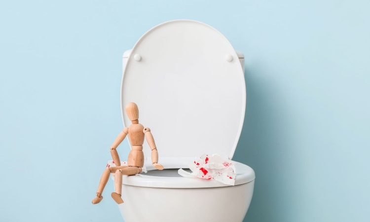 Obeležujemo 15 let programa Svit