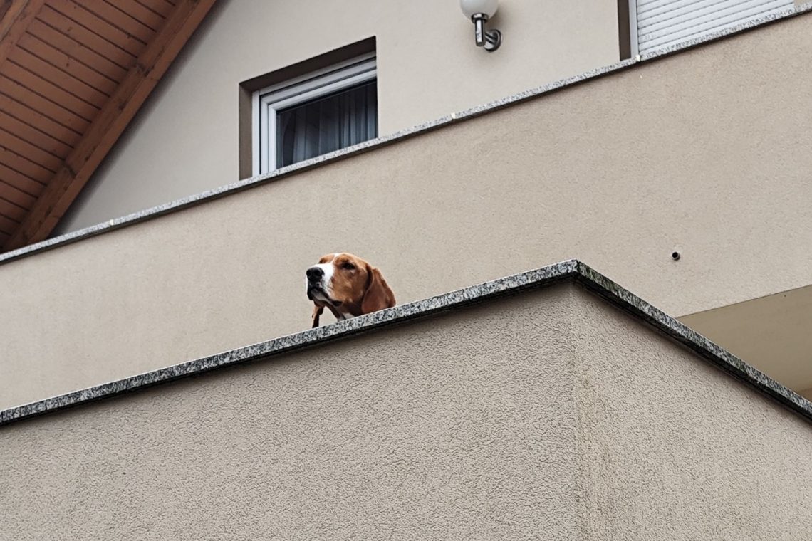 Foto: Družbena omrežja