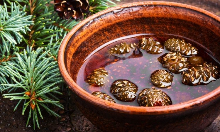 Borova marmelada je zagotovo aromatična delikatesa z zdravilnimi učinki