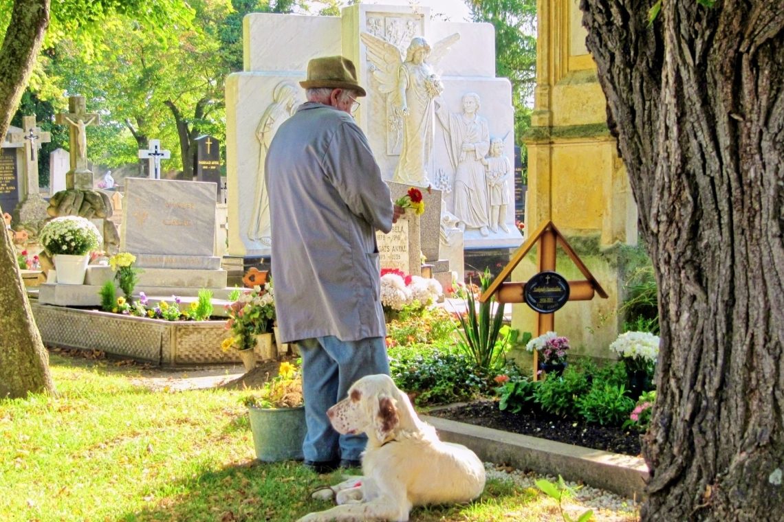 Milan uvedel možnost skupnega pokopa hišnih ljubljenč