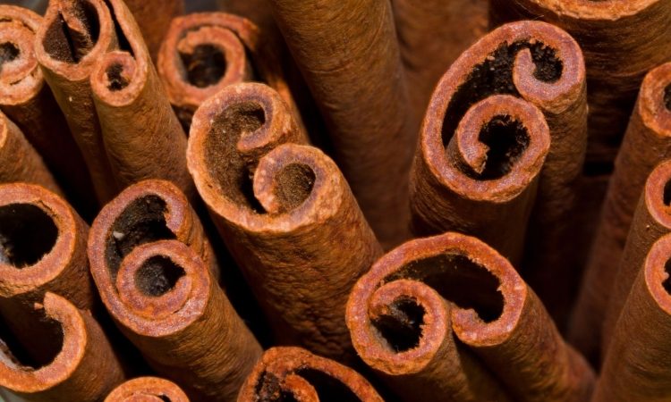 Cimet je koristna začimba, a nevarna za sladkorne bolnike