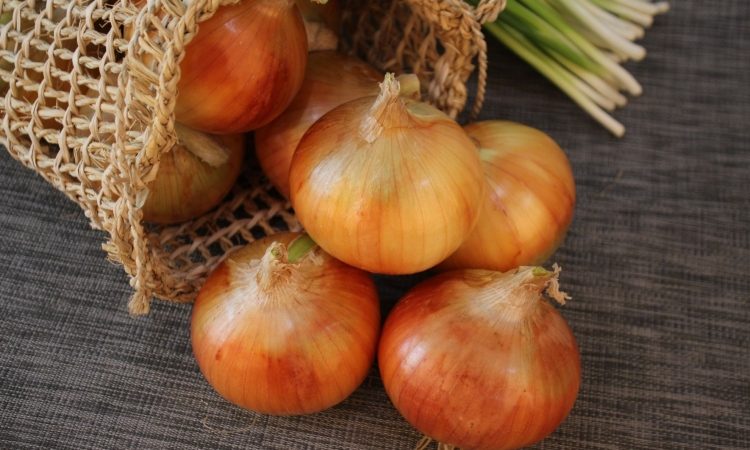 Veste kako je najbolje shranjevati čebulo? 