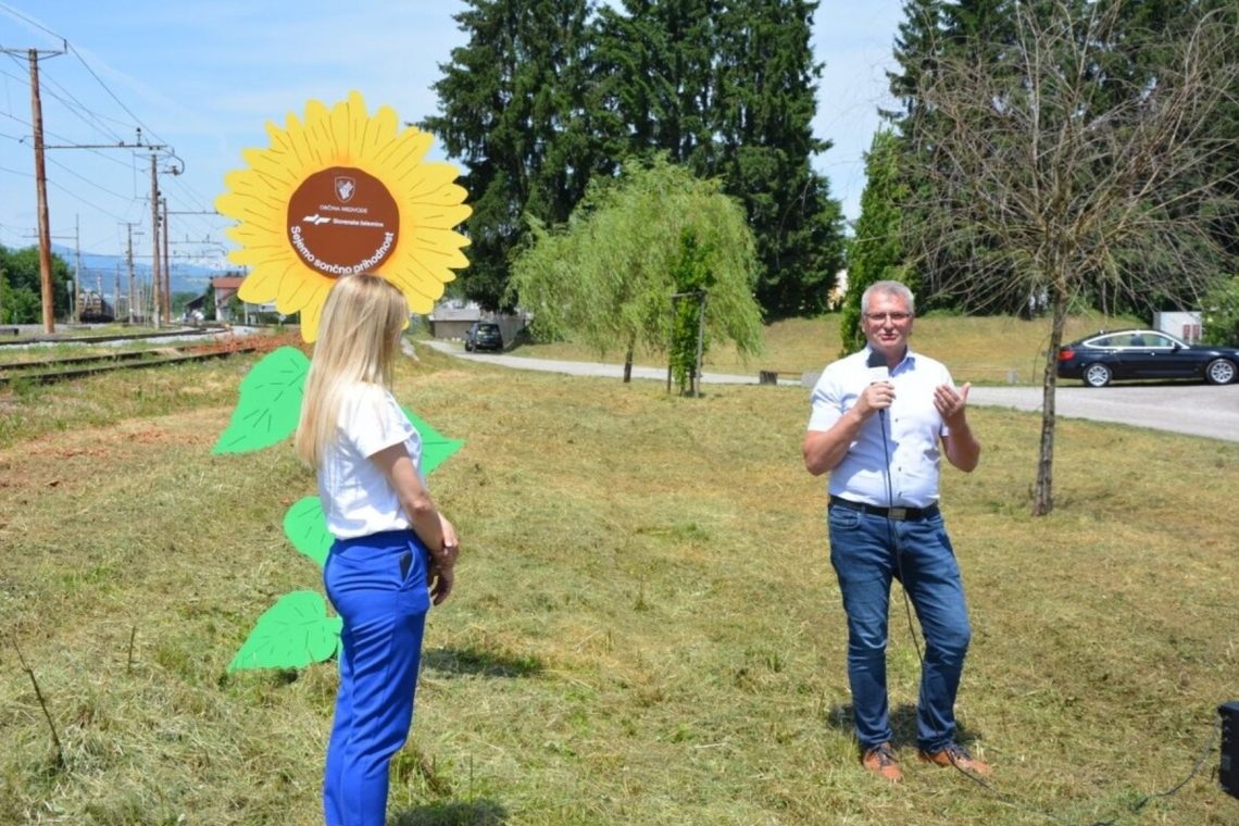 Sončnice ob železnici kot simbol trajnostne prihodnosti