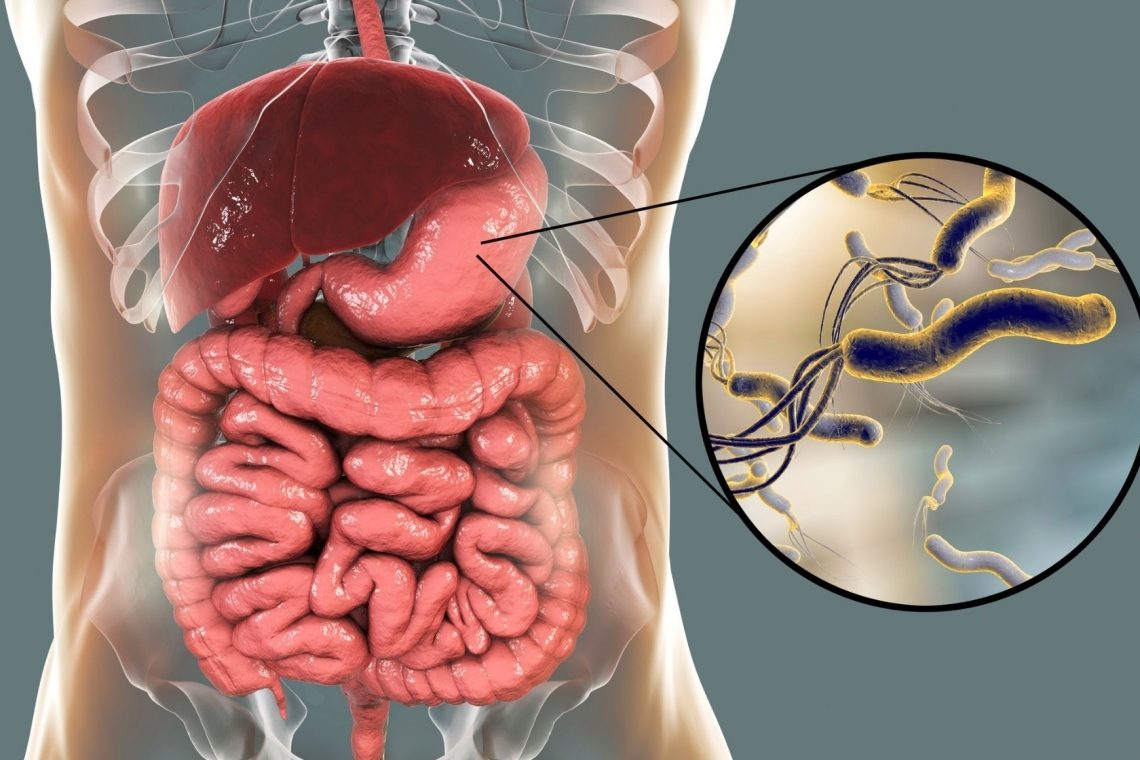 Bakterija Helicobacter pylori glavni dejavnik raka želodca v novi generaciji