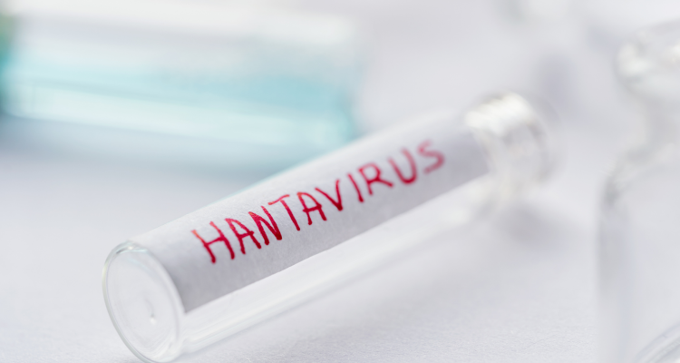 Sum na hantavirus na križarki terjal tri življenja